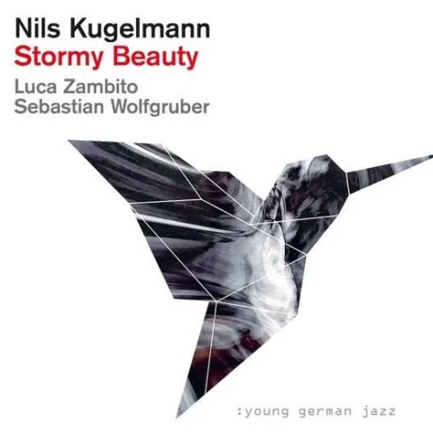 Stormy Beauty - Nils Kugelmann Trio